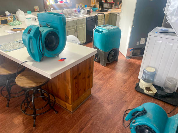 Best Emergency water damage restoration  in Melissa, TX