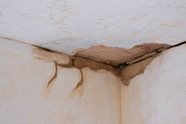 Best Water damage repair service  in Melissa, TX
