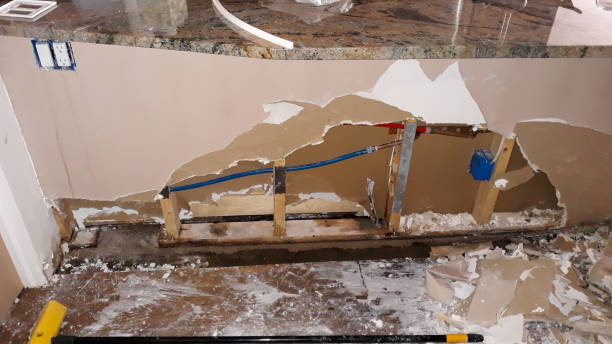 Best Professional water damage repair  in Melissa, TX