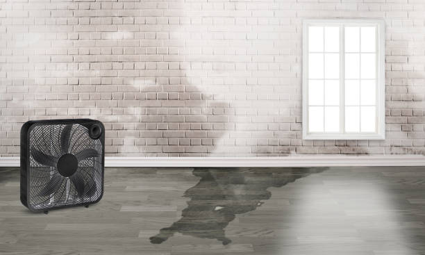 Best 24/7 water damage repair  in Melissa, TX