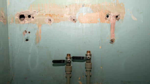 Best Water damage contractors near me  in Melissa, TX
