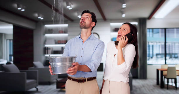 Best Ceiling water damage repair  in Melissa, TX
