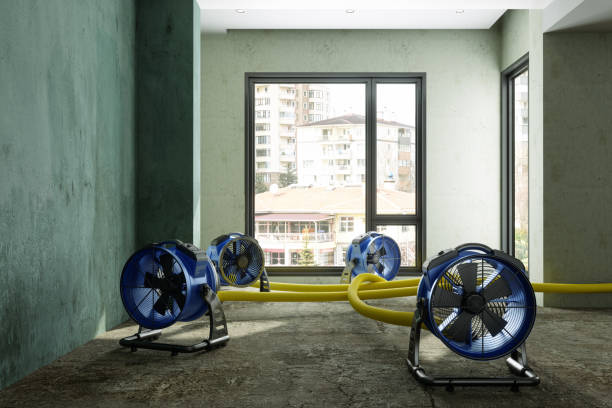 Best Water damage restoration experts  in Melissa, TX