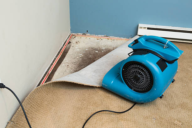 Best Mold removal after water damage  in Melissa, TX